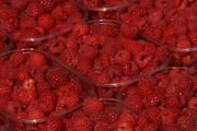 Raspberries