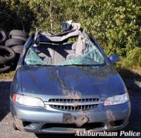 Car Collided with Moose