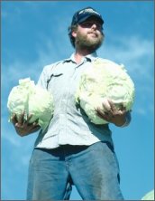 Cabbage Man