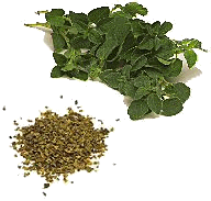 Oregano