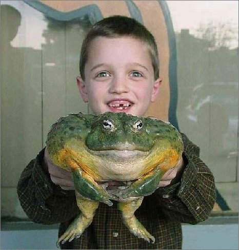 son_hugefrog.jpg