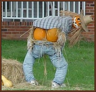 funny halloween pictures pumpkin