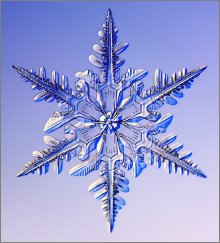 snow crystal