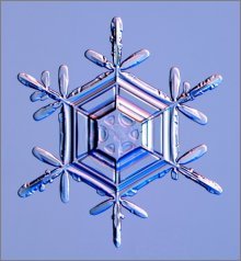 common snow flake shapes