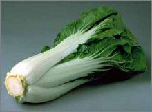 Bok choy