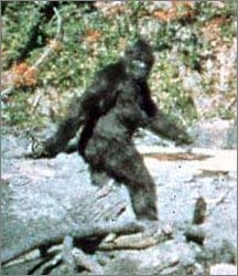 Bigfoot