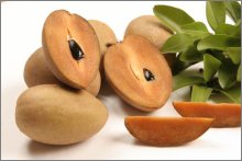 Sapodilla