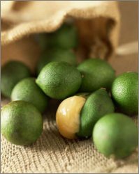 Spanish Lime