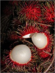 Rambutans