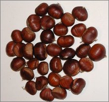 Chestnuts