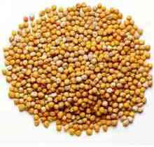 Mustard Seeds