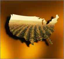 united states corn production