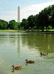 Constitution Gardens, Washington DC