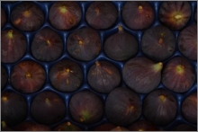 Figs