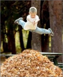 funny photo boy leaves jump fall