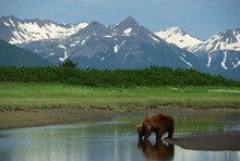 alaska