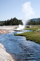 Yellowstone National Park