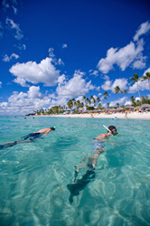 swimming in the ocean