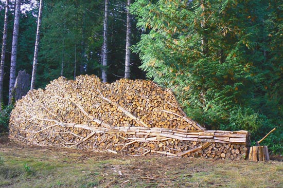 amazing photos: logs