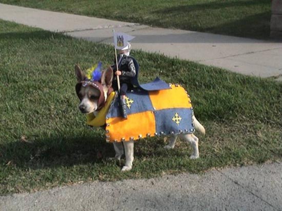 funny dog costume