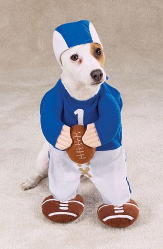 funny dog costume