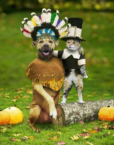 funny dog costume