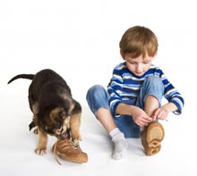 boy with dog