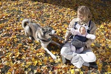 dog autumn