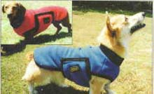 dog coats