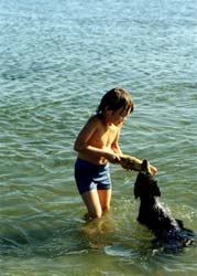 pets