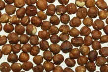 macadamia nuts