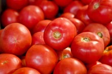 Tomatoes